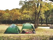 A scene of an outdoor camping setup featuring two green tents in a park surrounded by trees with autumn foliage. A red and black checkered blanket is spread on the ground between the tents, with picnic items on it. Fallen leaves cover the ground, and a fence can be seen in the background amidst the trees.