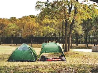 A scene of an outdoor camping setup featuring two green tents in a park surrounded by trees with autumn foliage. A red and black checkered blanket is spread on the ground between the tents, with picnic items on it. Fallen leaves cover the ground, and a fence can be seen in the background amidst the trees.
