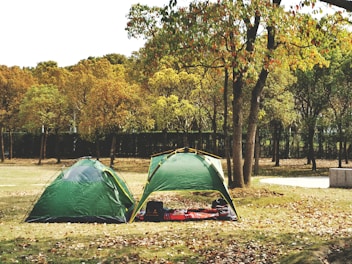 A scene of an outdoor camping setup featuring two green tents in a park surrounded by trees with autumn foliage. A red and black checkered blanket is spread on the ground between the tents, with picnic items on it. Fallen leaves cover the ground, and a fence can be seen in the background amidst the trees.