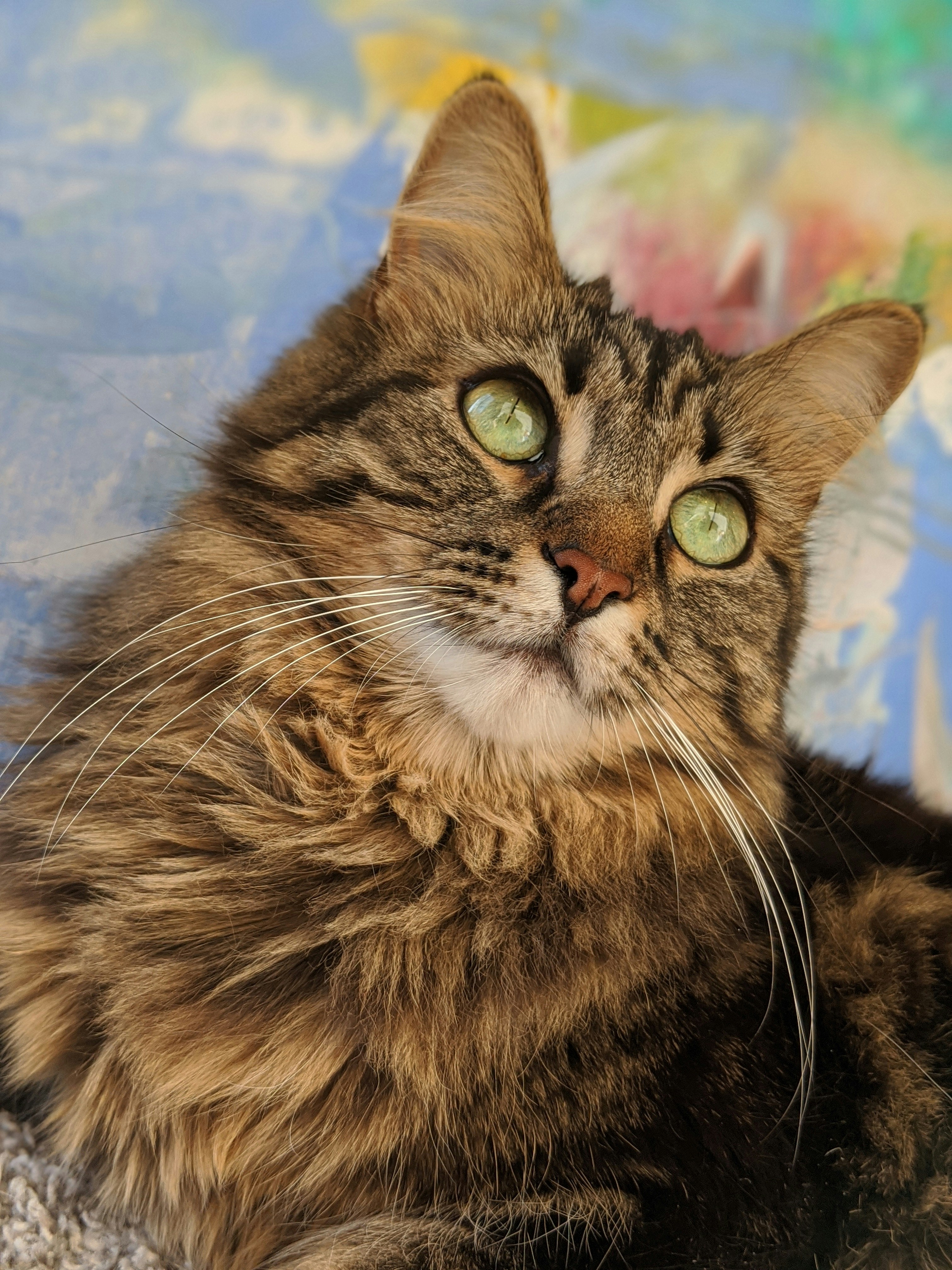 Photo by kyacoco133_pineapple