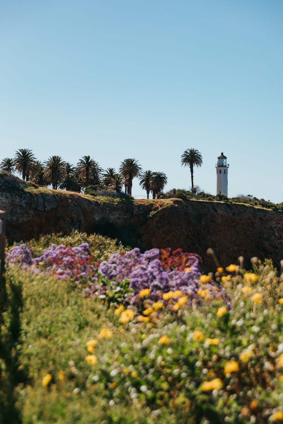 yellow and purple flower field near lighthouse under blue sky during daytime