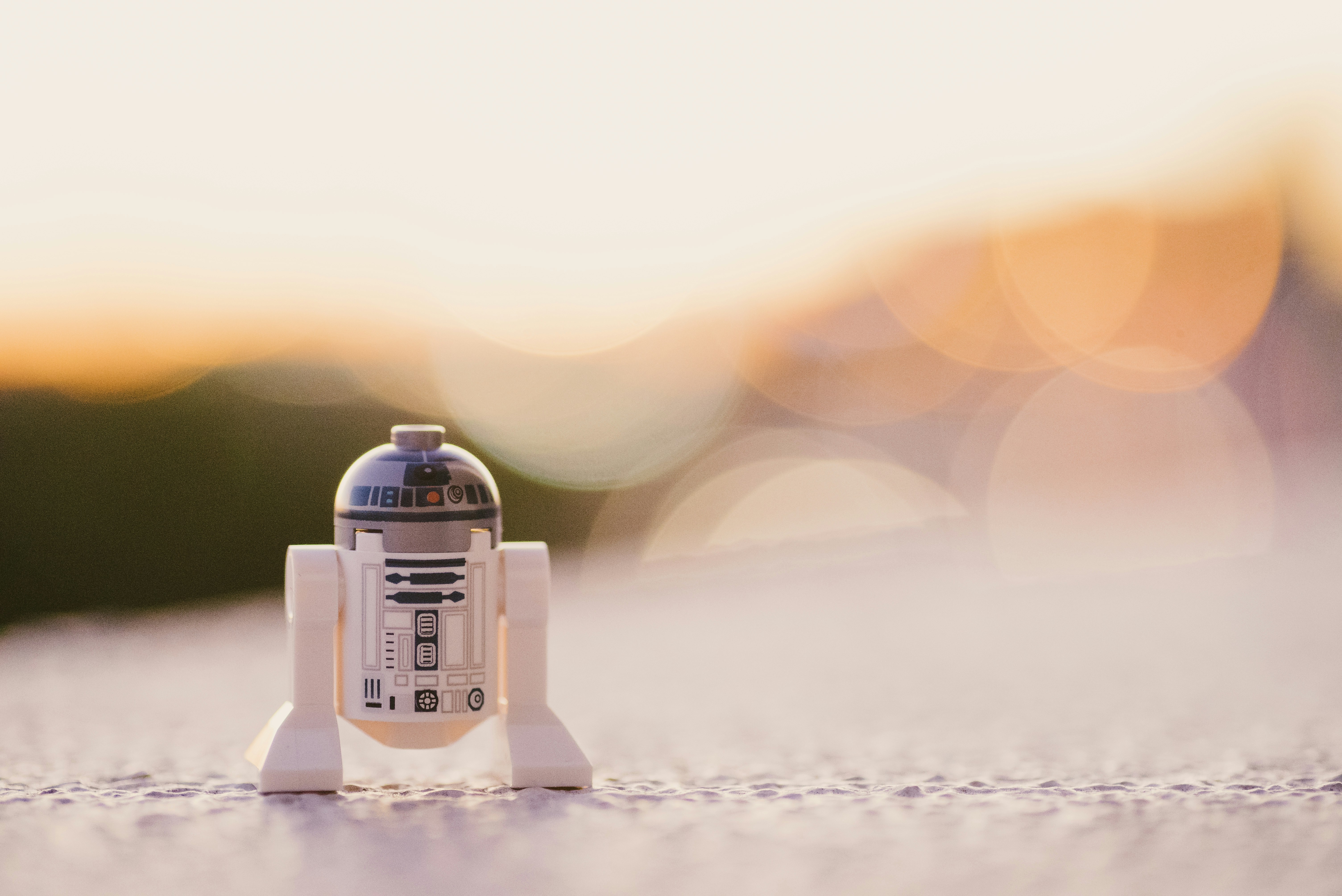 Photo by danielkcheung