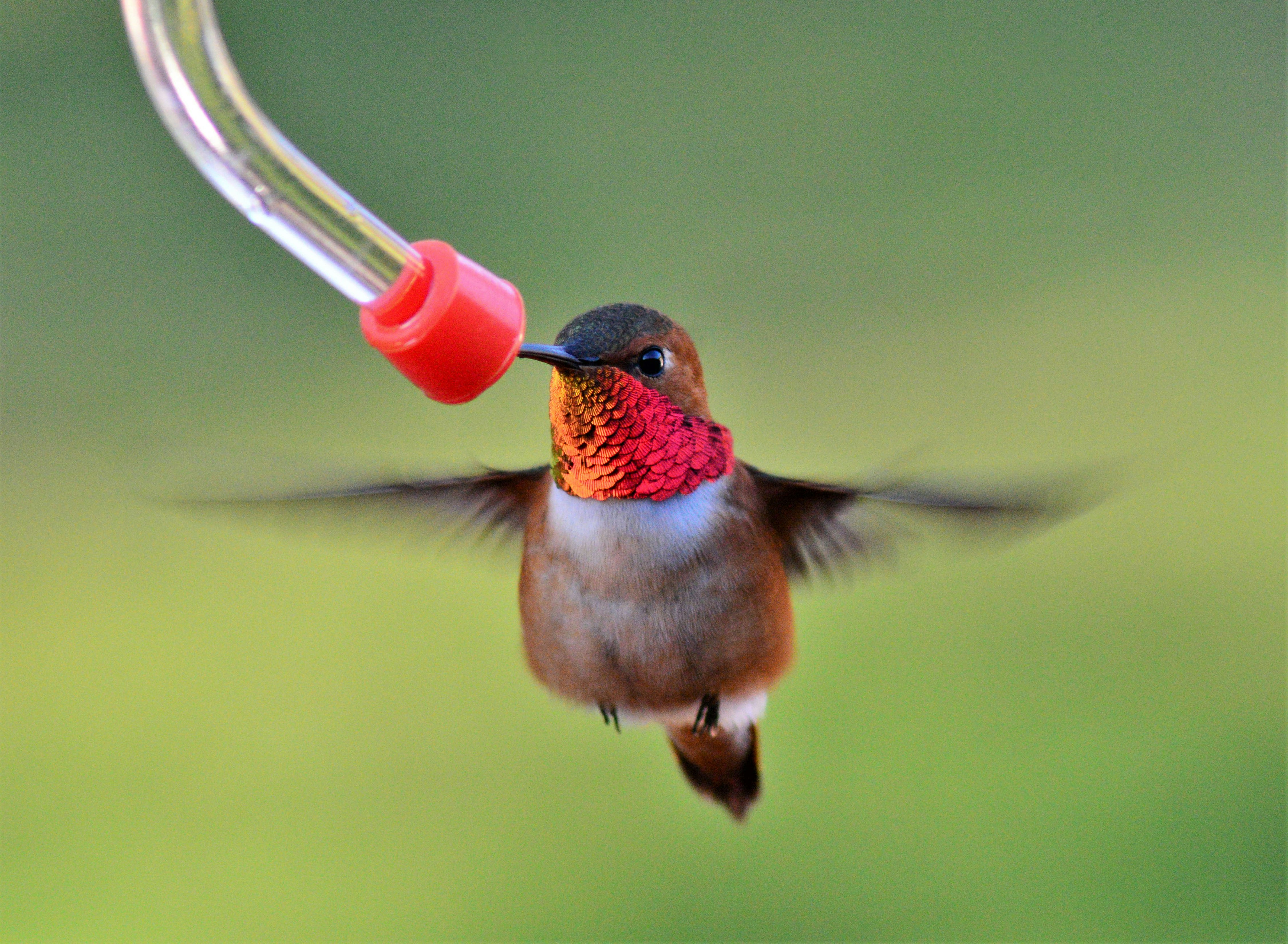 Photo by bryanhanson