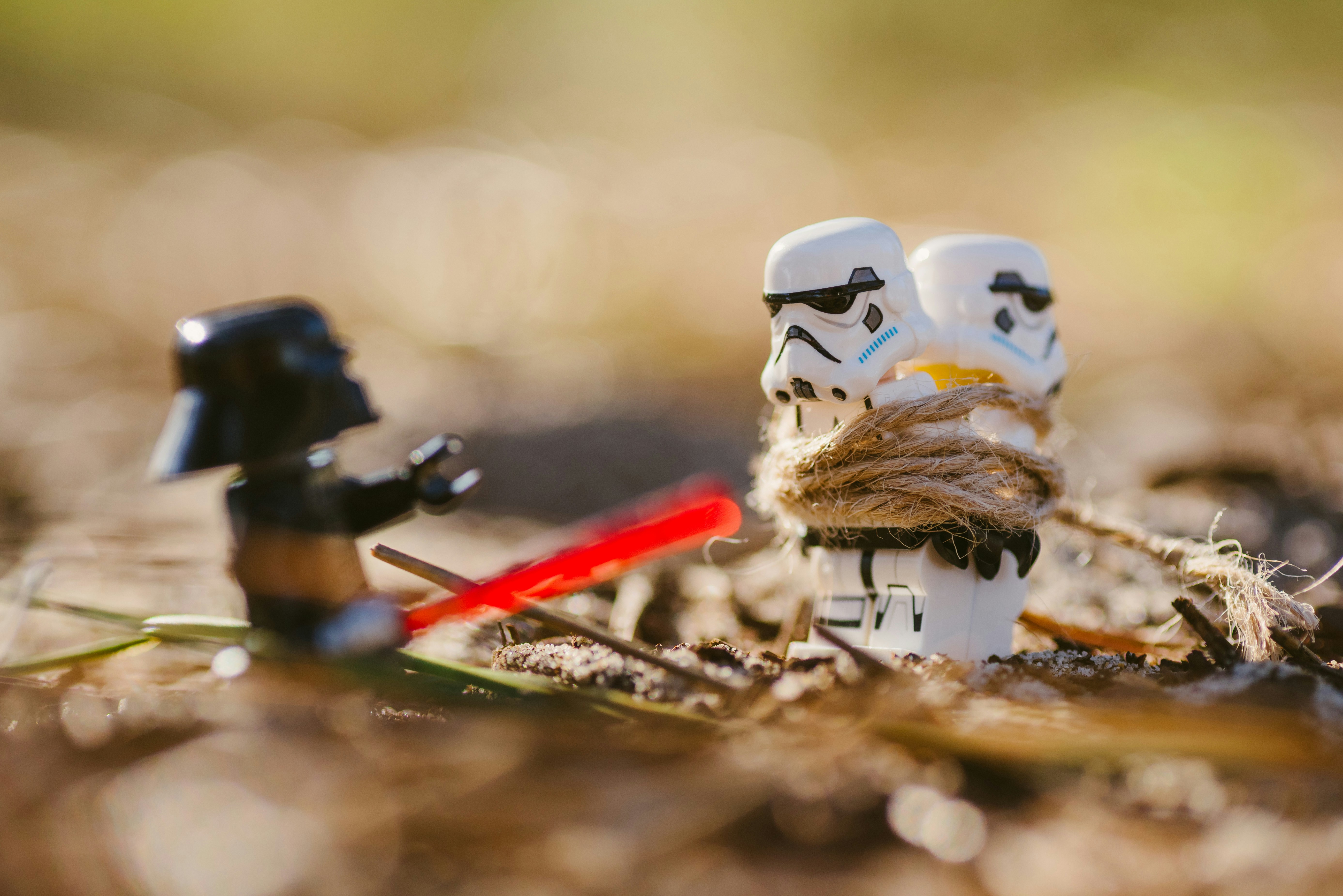 Photo by danielkcheung