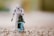 Two action figures resembling characters from a popular sci-fi franchise, with one dressed as a stormtrooper pushing a blue bicycle carrying a smaller figure resembling a dark lord of the same franchise. The background is blurred, highlighting the focus on the figures.