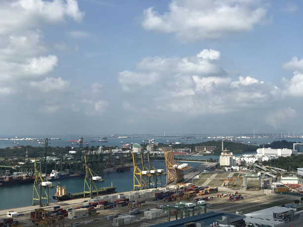 A panoramic view of a bustling UAE industrial port with cranes loading containers under a clear sky.