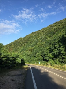 A scenic highway winding through lush green hills under a clear blue sky.