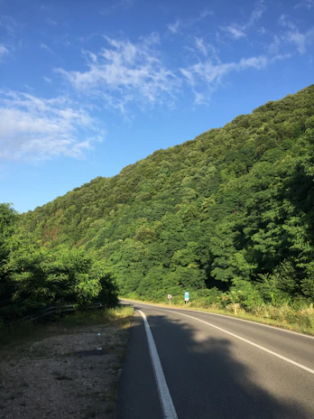 A winding mountain road cutting through lush green hills in northern India under a clear blue sky.