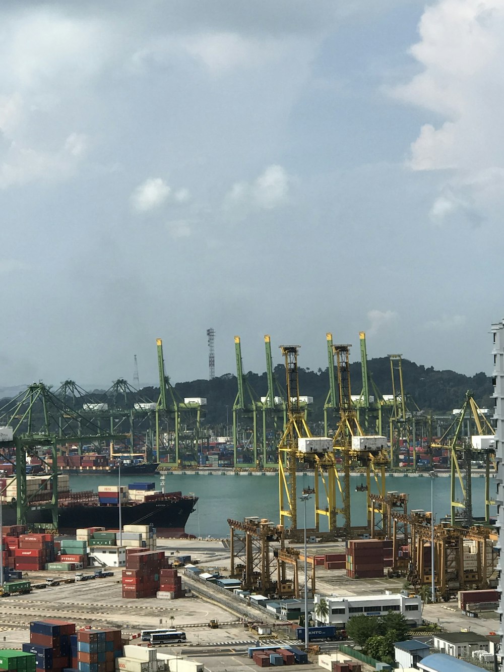 assorted color boat on dock during daytime