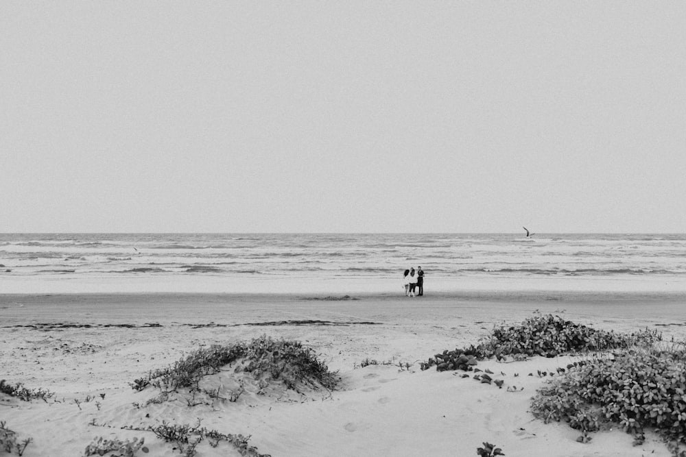 2 personas caminando por la playa durante el día