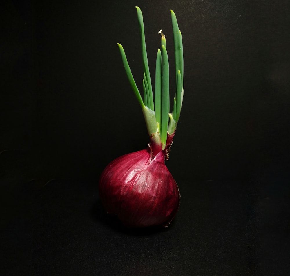 rote Zwiebel auf schwarzem Tisch