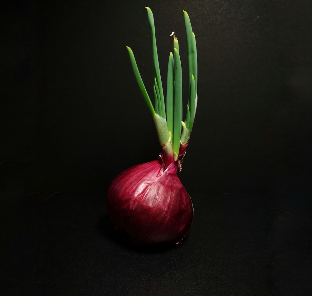 red onion on black table