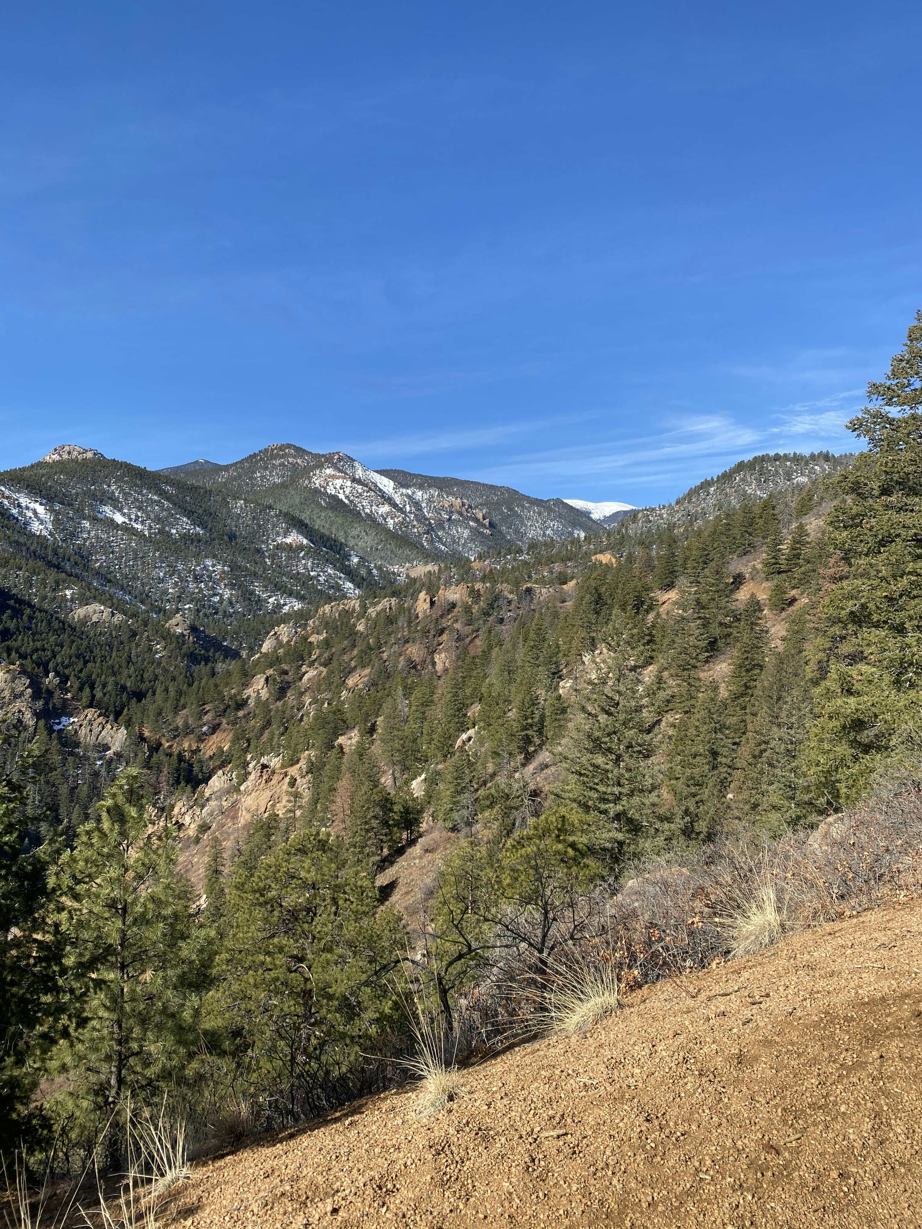 Photo by laitonbarbo