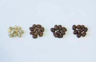 brown and beige stones on white surface