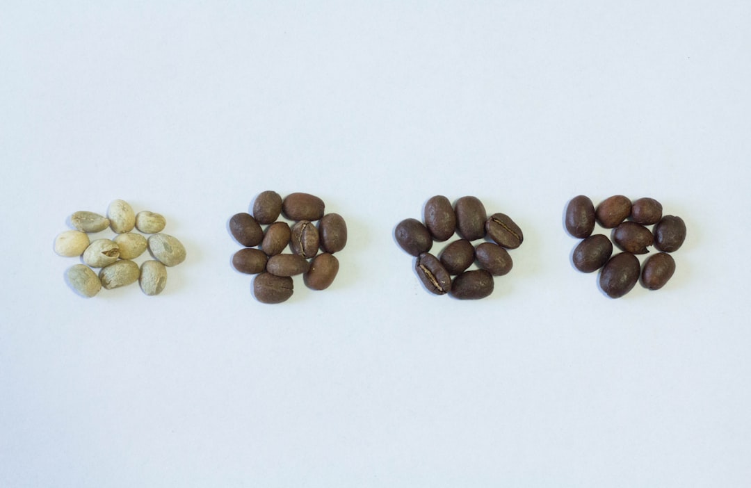 頂級指南：如何挑選適合的咖啡樹苗，讓您在台中也能輕鬆享受咖啡樹種植的樂趣