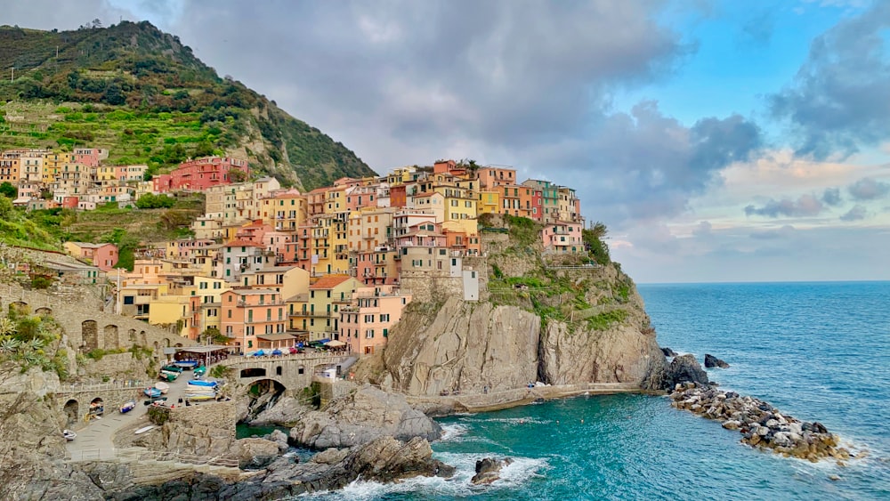 houses on cliff near body of water during daytime