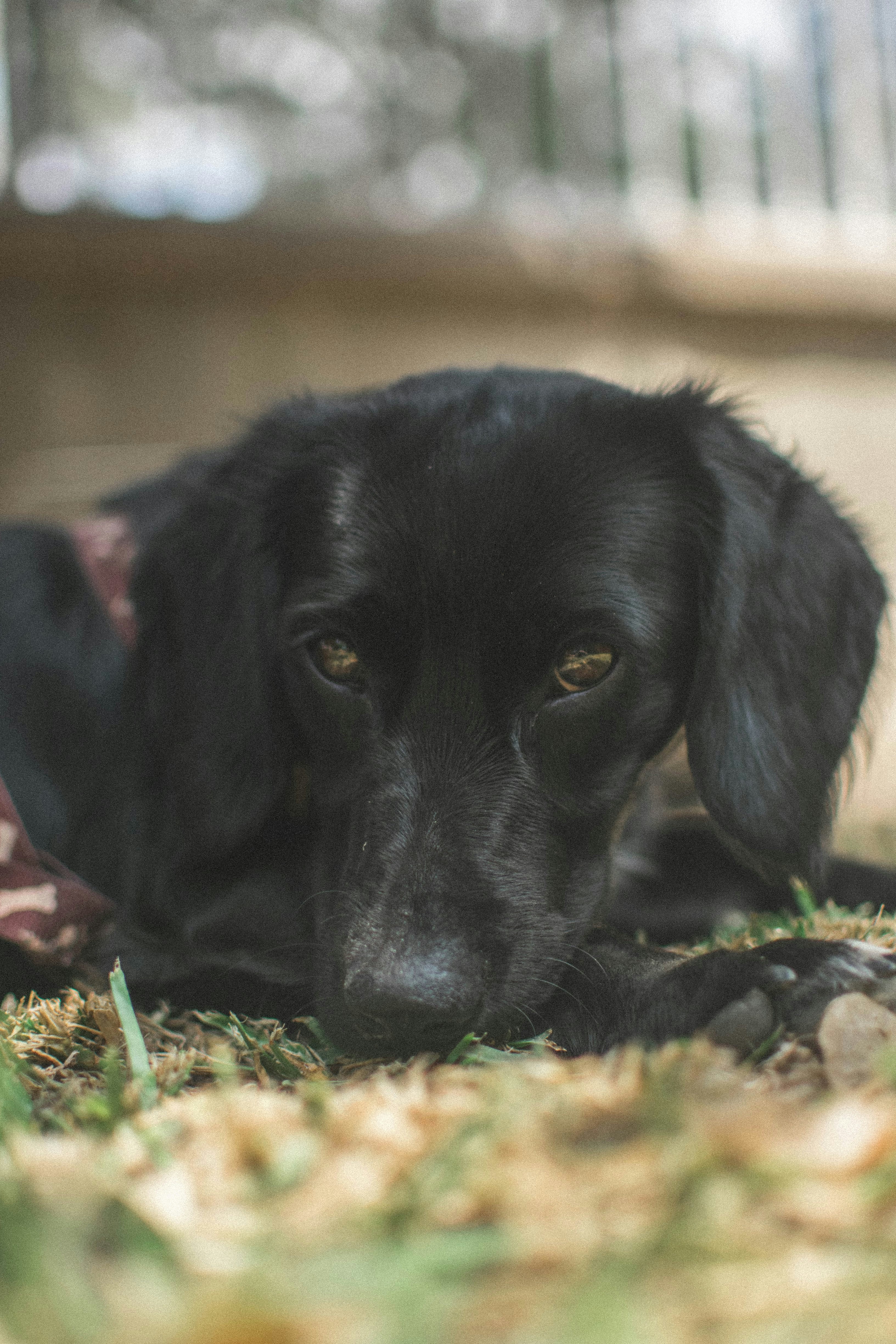 Photo by javideografia