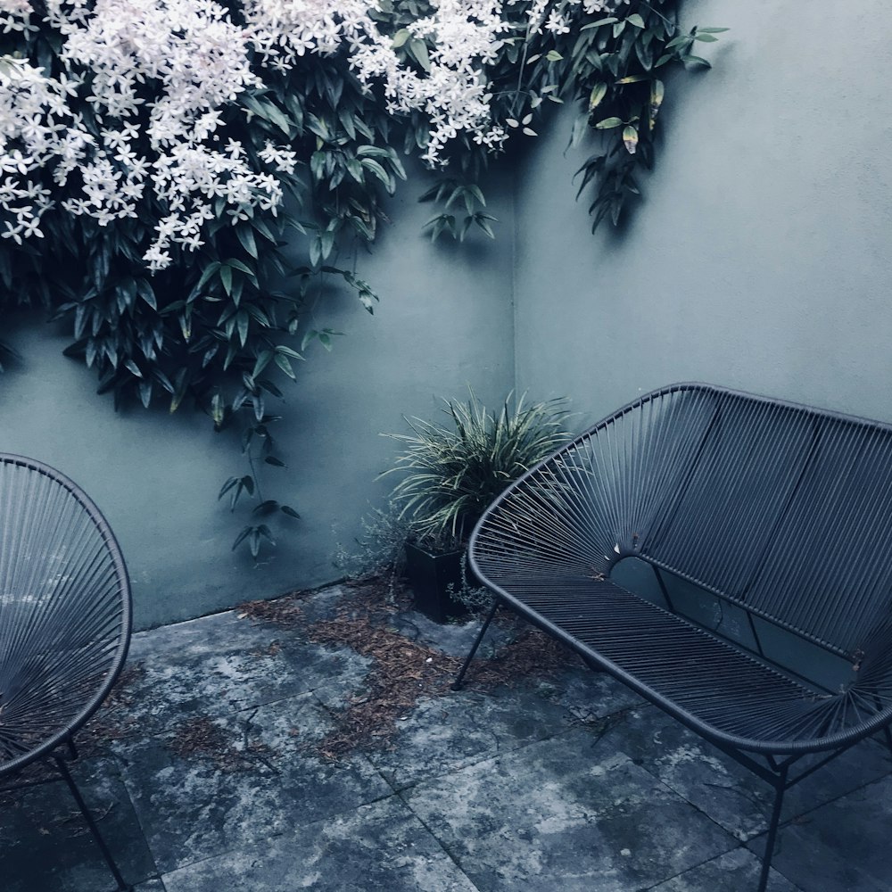 black metal armchair beside green wall