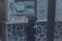 A person carrying a dog on their back, walking alongside a wall with dark stone patterns. There is visible graffiti and a sign on the wall indicating photocopying services and form-filling.