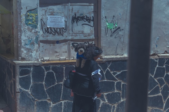 A person carrying a dog on their back, walking alongside a wall with dark stone patterns. There is visible graffiti and a sign on the wall indicating photocopying services and form-filling.