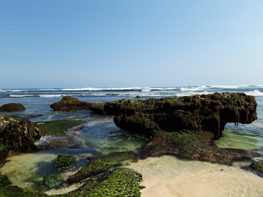 brown rock formation on sea shore during daytime in Sumba Indonesia