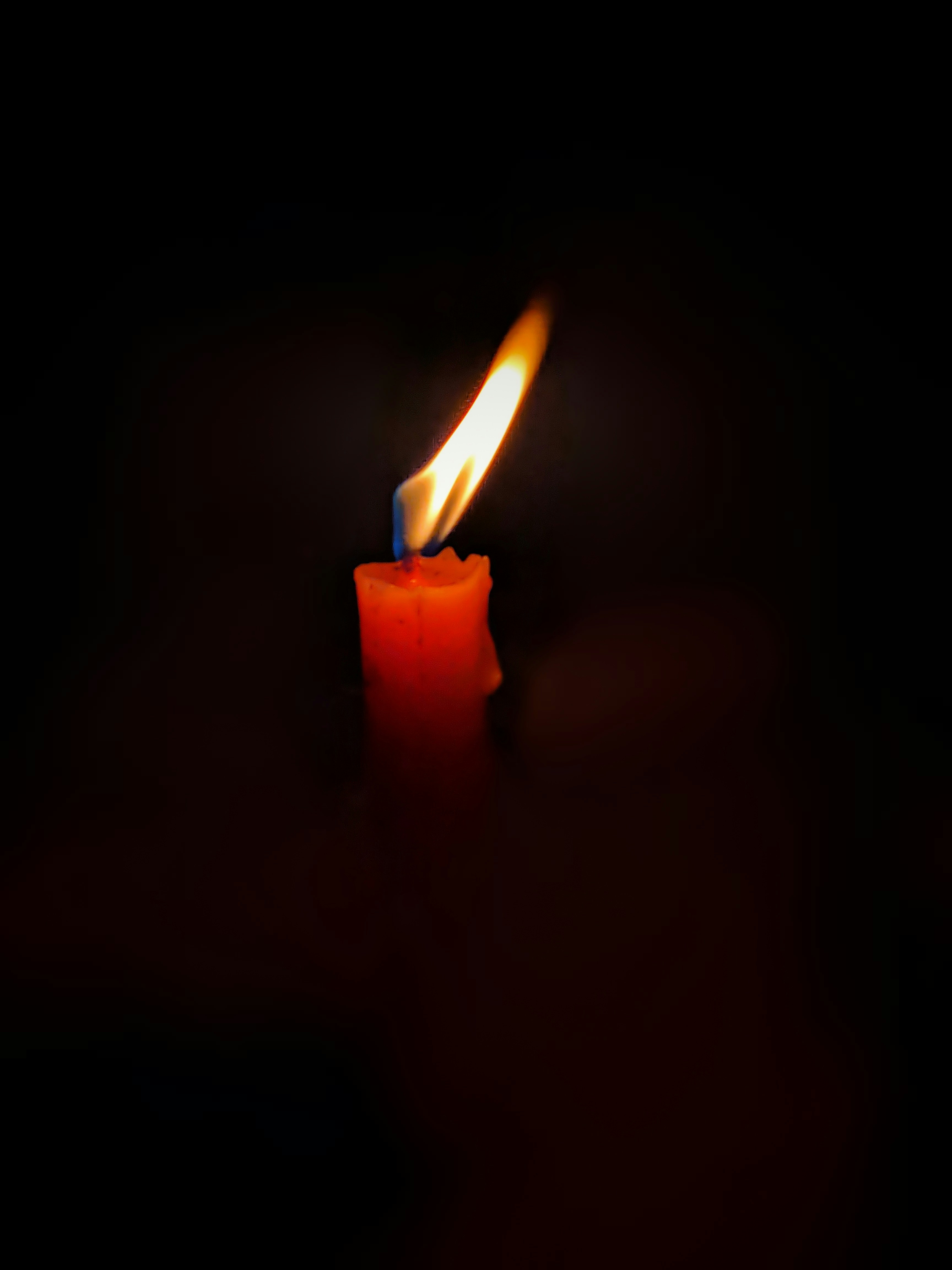 Premium Scented Candles