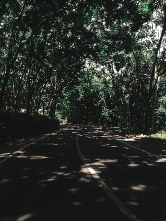 brown dirt road between green trees during daytime in Thiruvananthapuram India