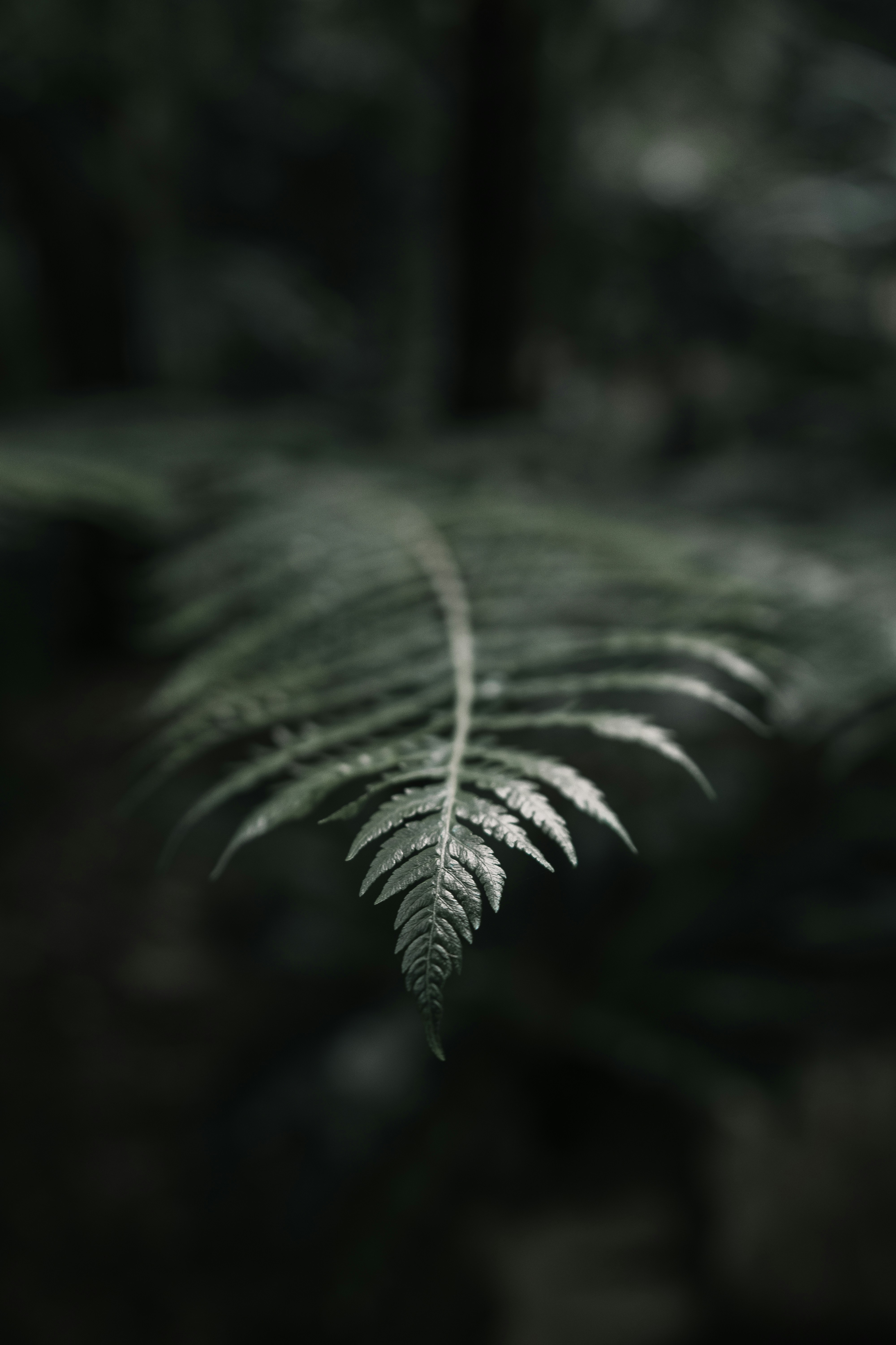 Photo by jamesthompsxn