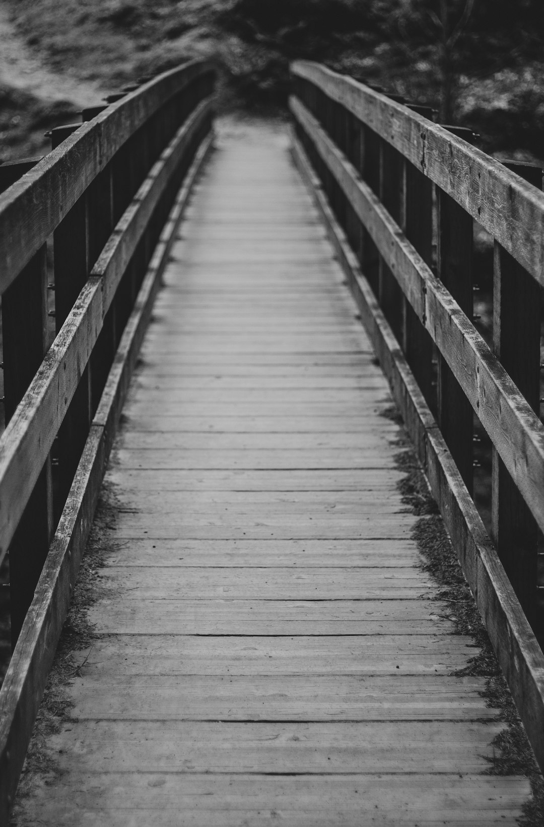 grayscale photo of wooden bridge