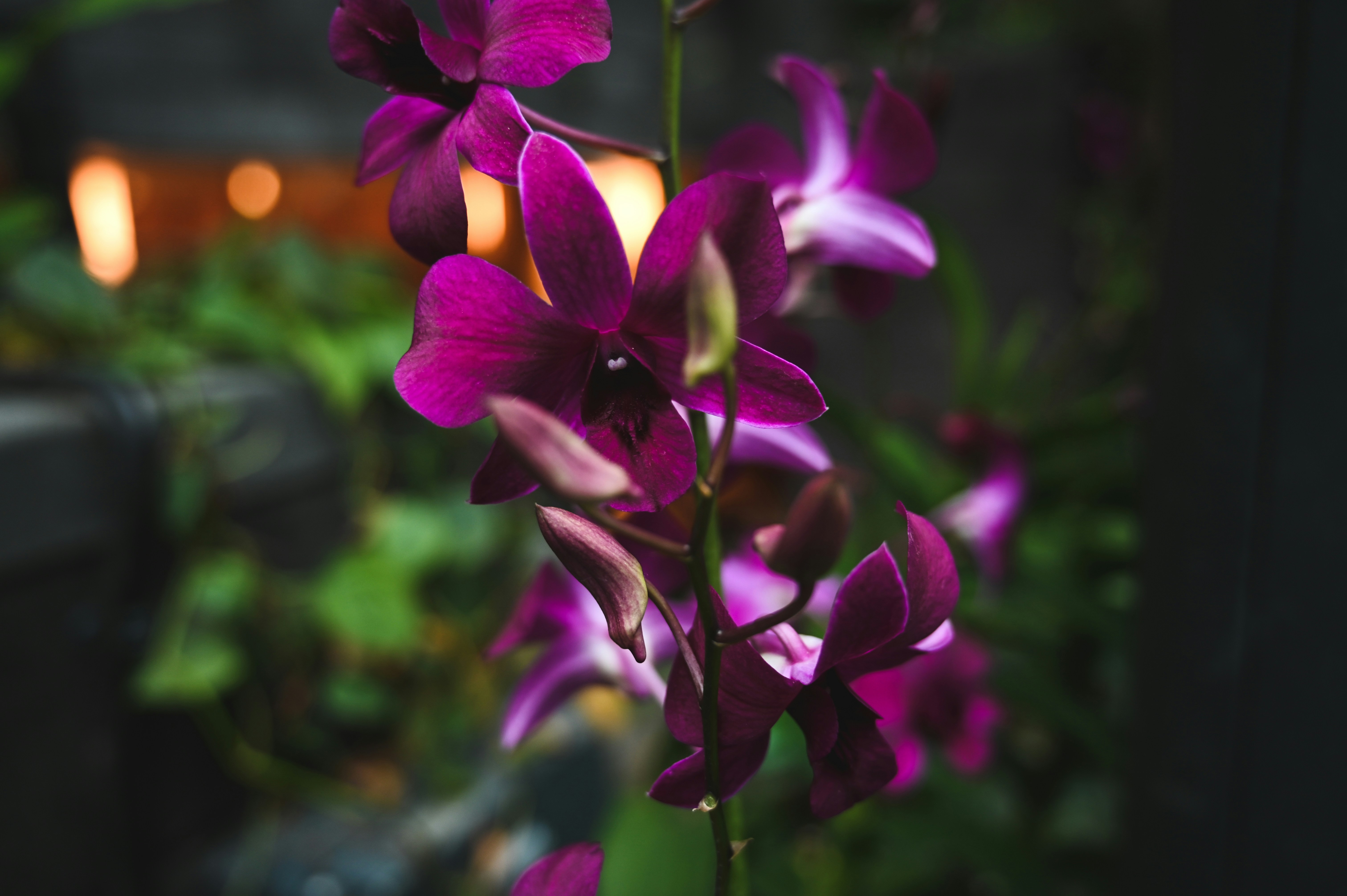 Photo by sandratansh