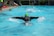 A person is swimming in a pool wearing a black wetsuit and a bright green swim cap. The swimmer is performing the butterfly stroke, with arms outstretched and water splashing around. In the background, several people in colorful swim caps are also visible, and there are onlookers and a poolside area with various items such as towels and swim gear.