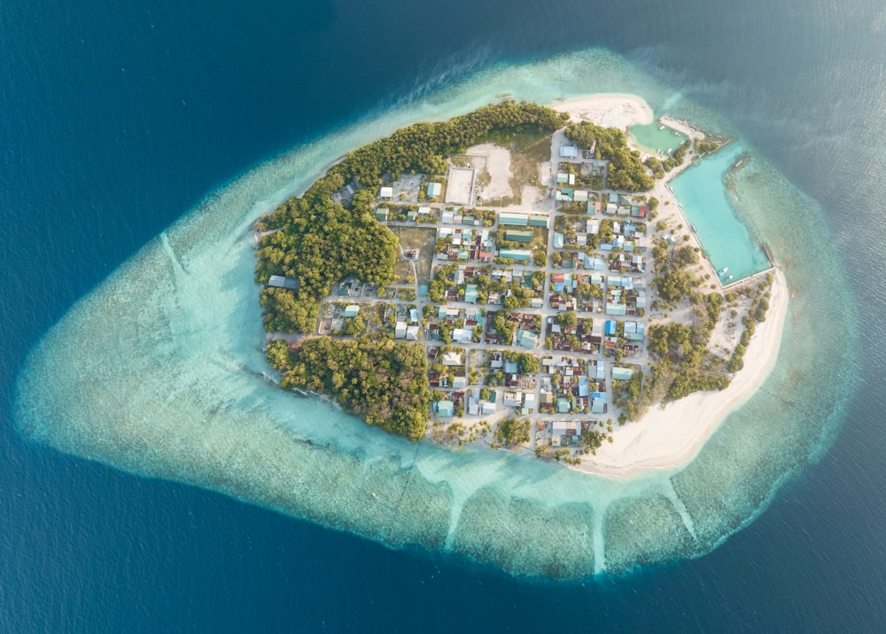 aerial view of city buildings near body of water during daytime