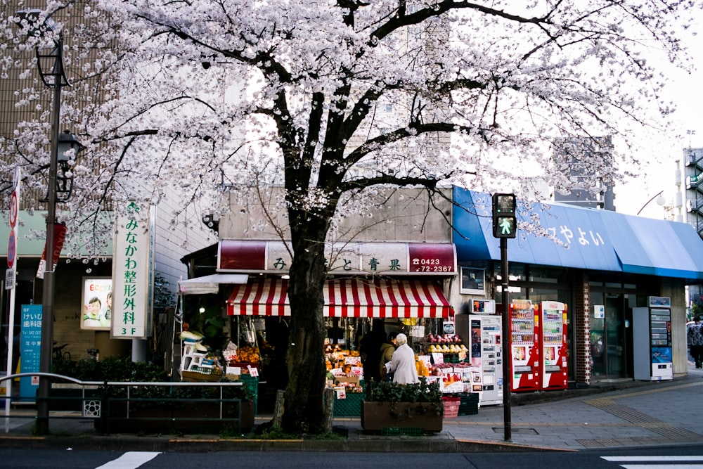 people walking on sidewalk near store during daytime