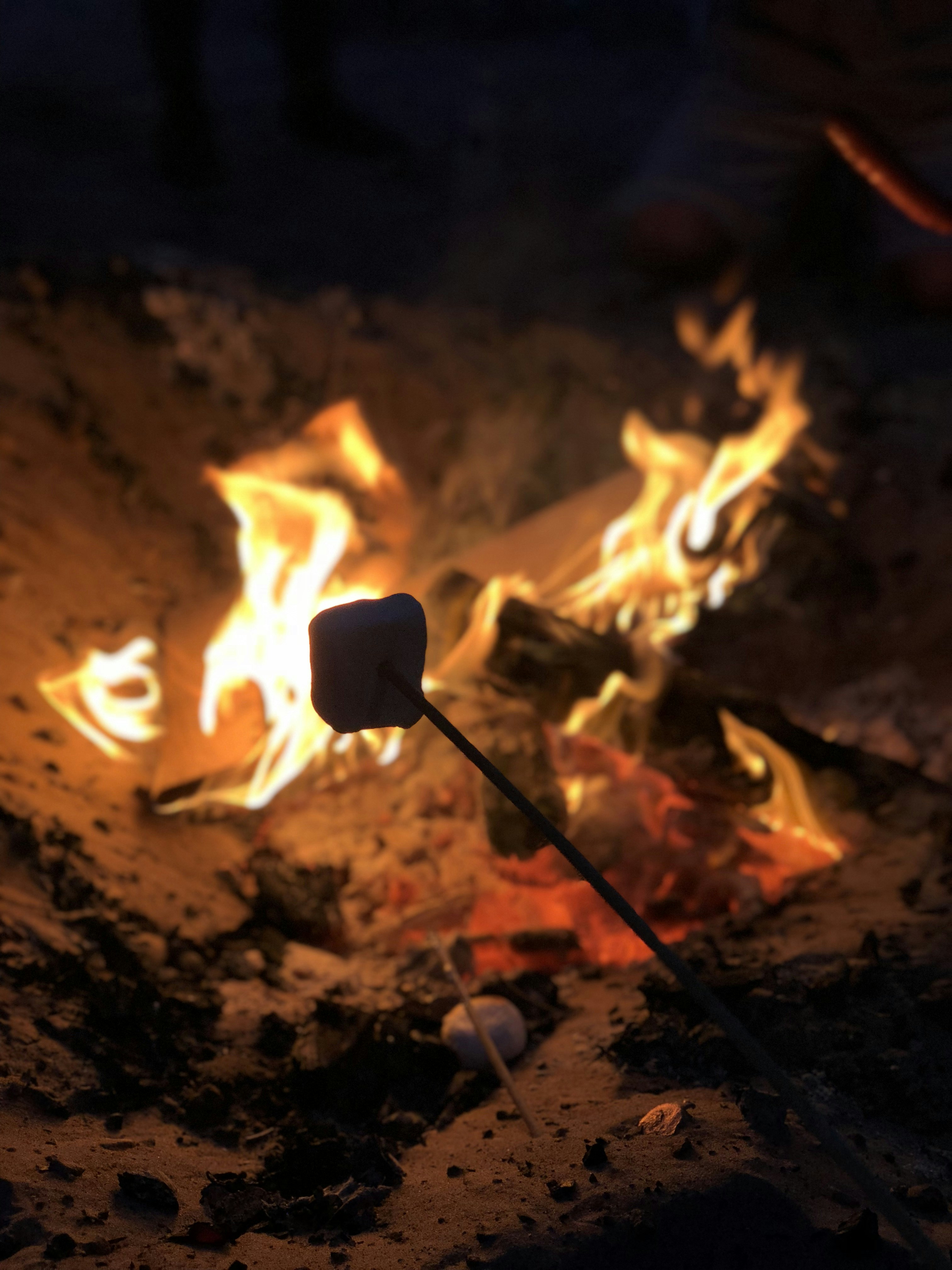 photo 1584864642241 82b90aba89df?ixlib=rb 4.0