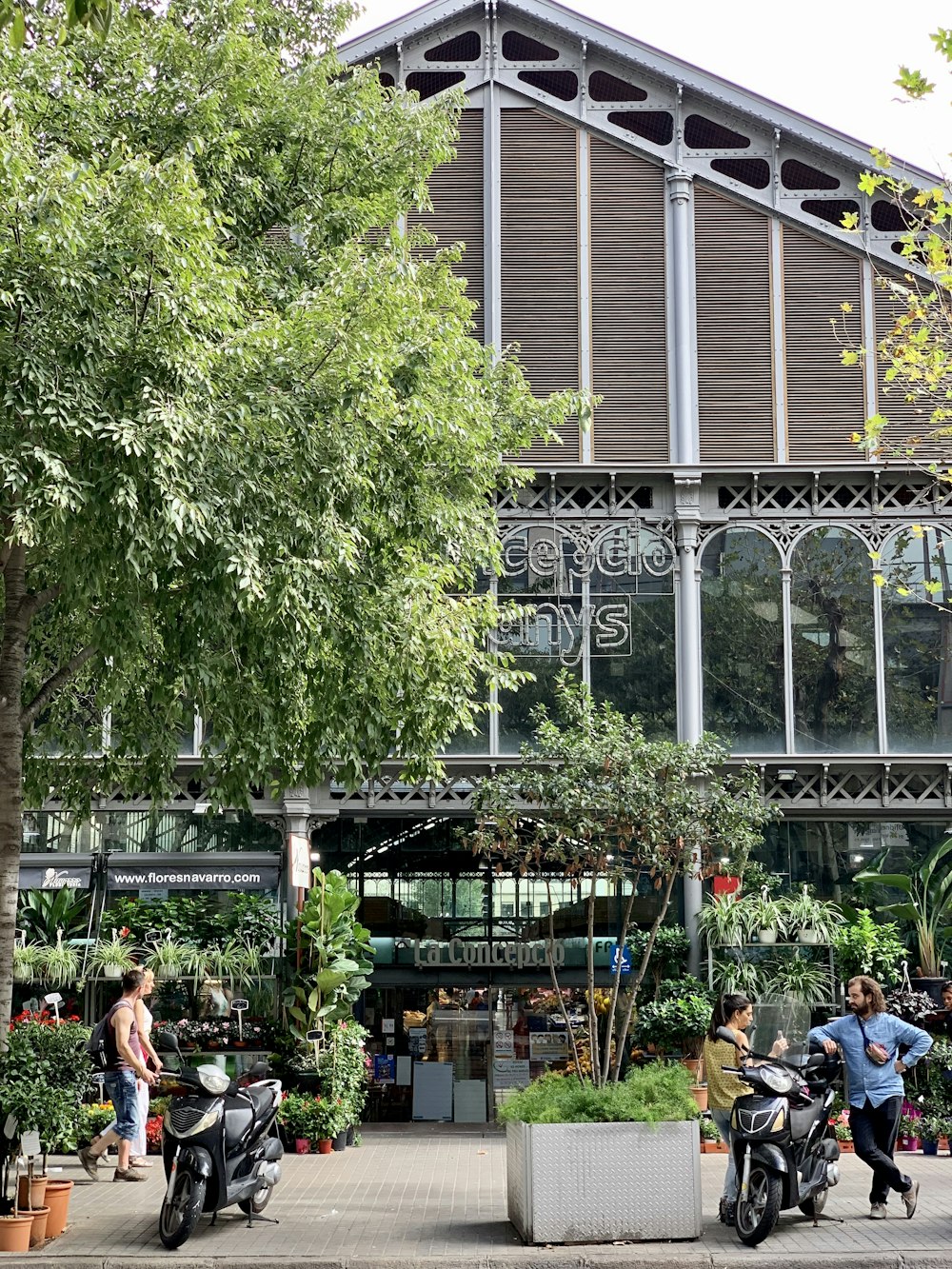 people sitting on bench near green trees during daytime