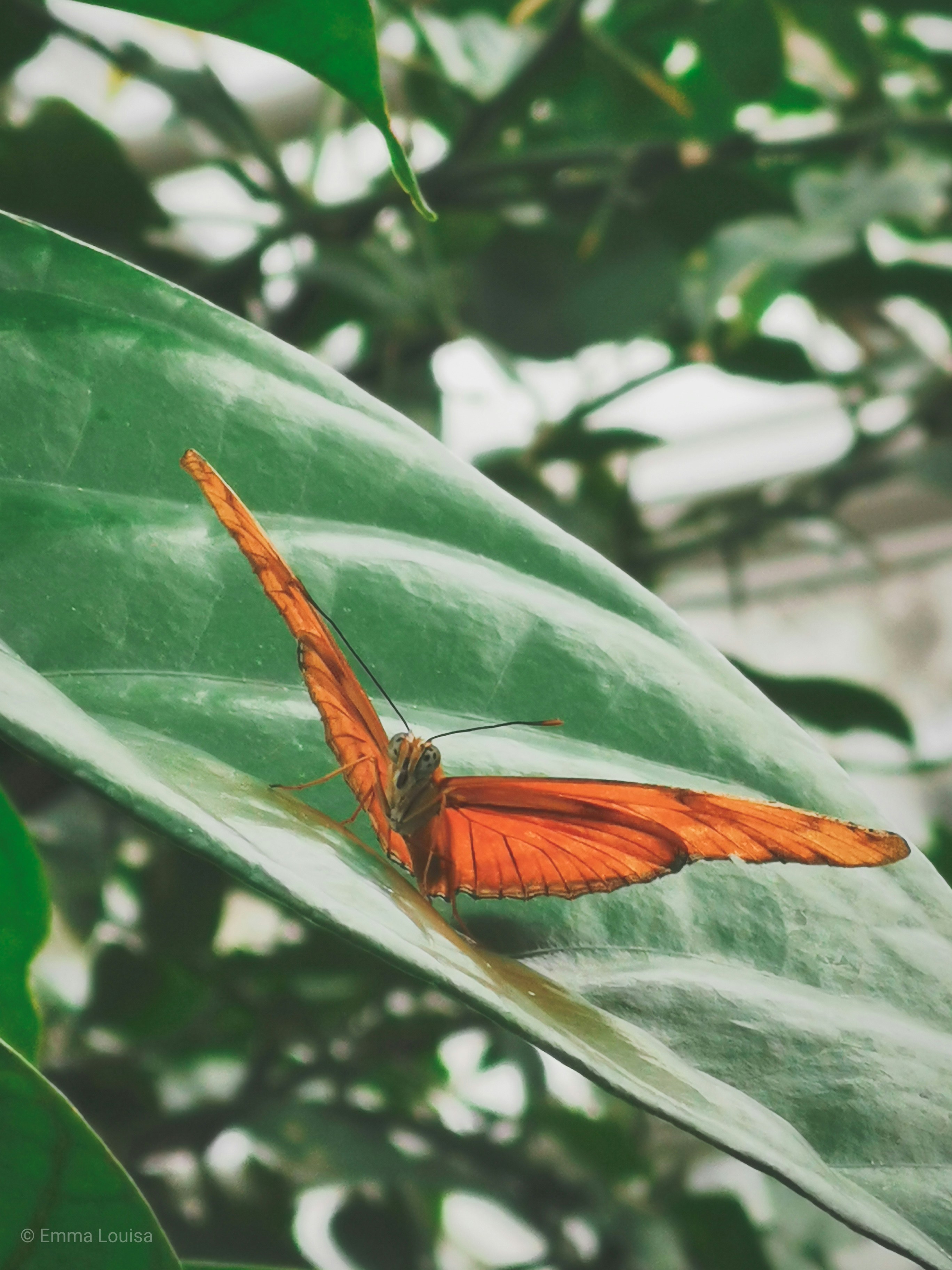 Photo by emmalouissa