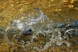 Ground Water with Selenium