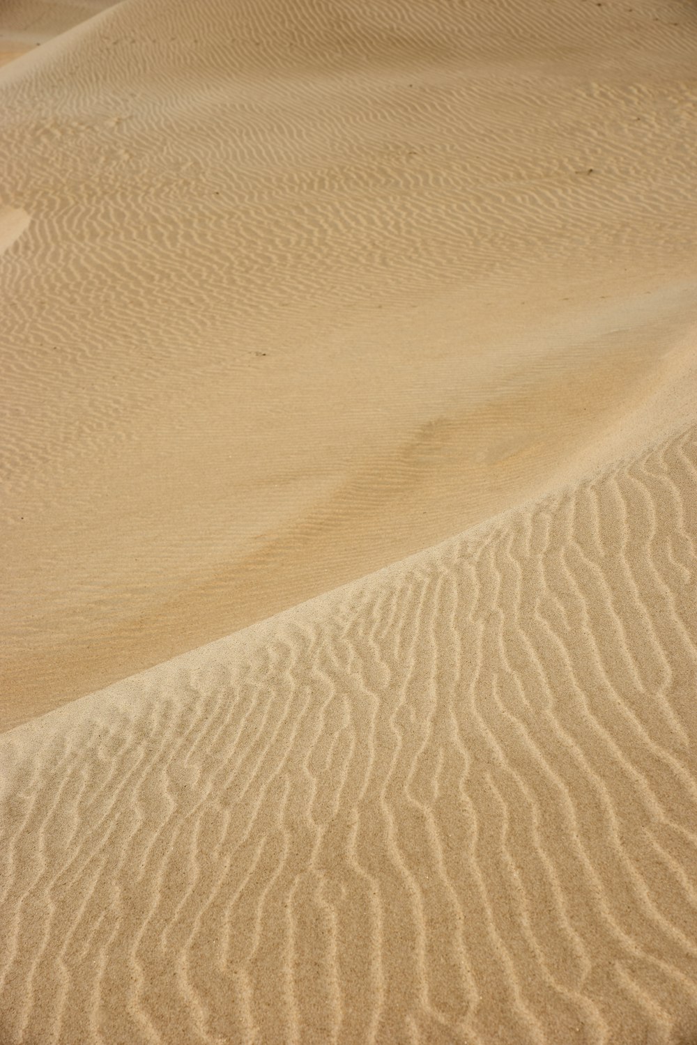 person walking on sand dunes