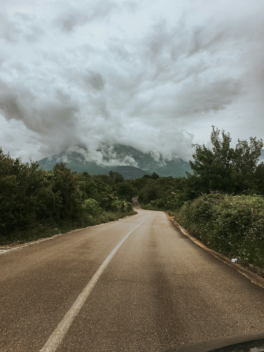 árvores verdes ao lado da estrada sob nuvens brancas durante o dia