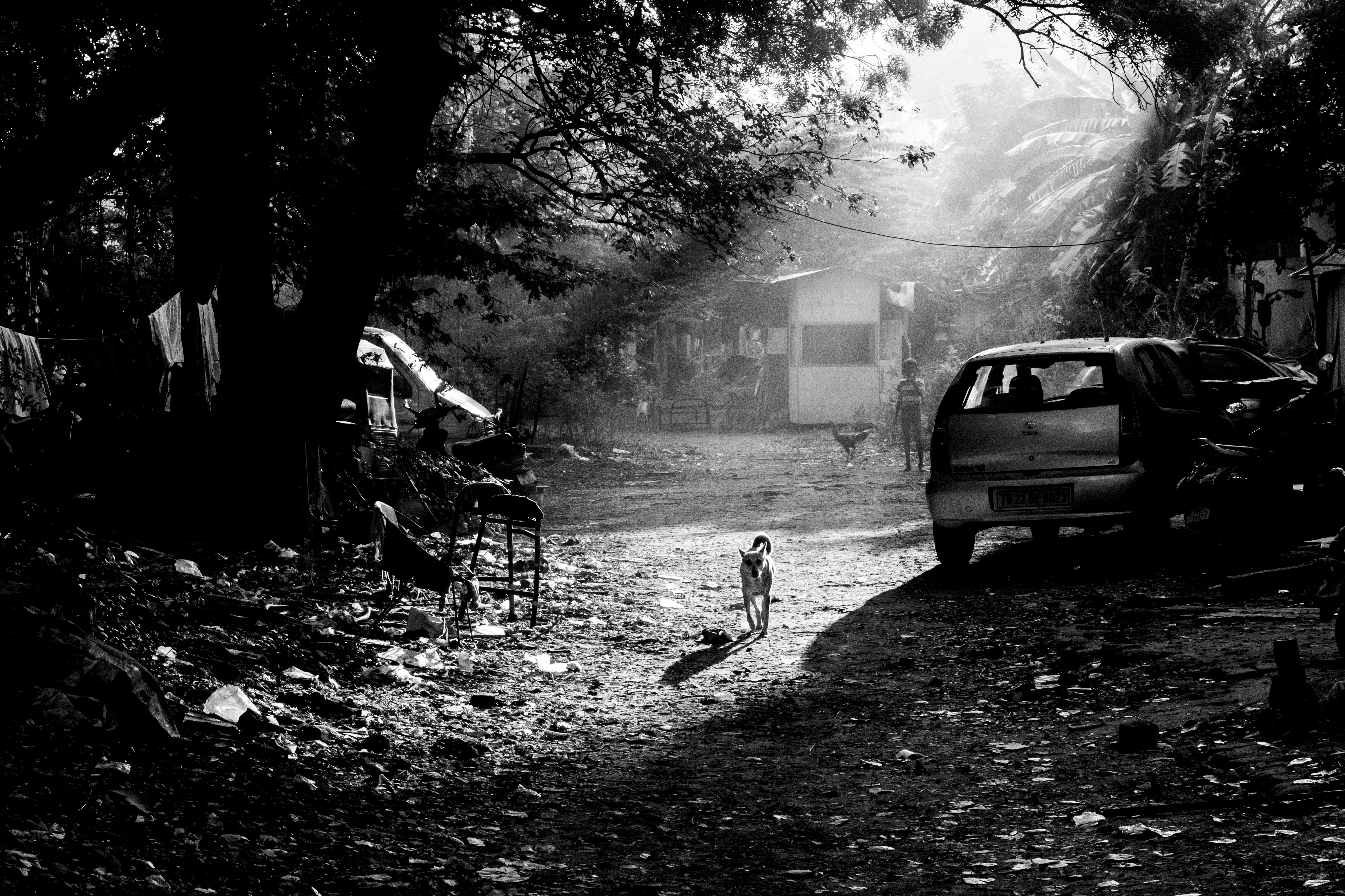 Photo by santhosh_vaithiyanathan