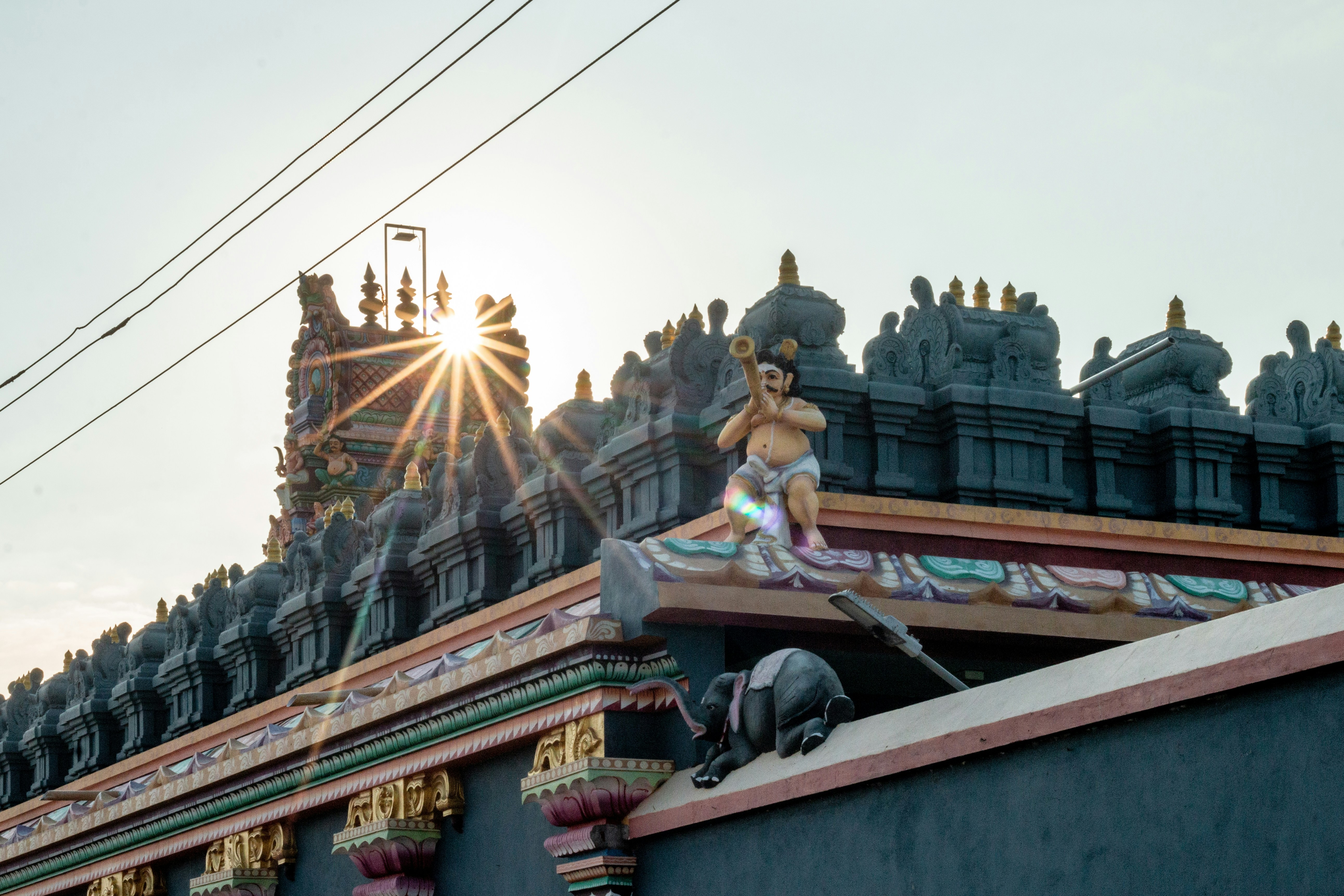 Photo by santhosh_vaithiyanathan