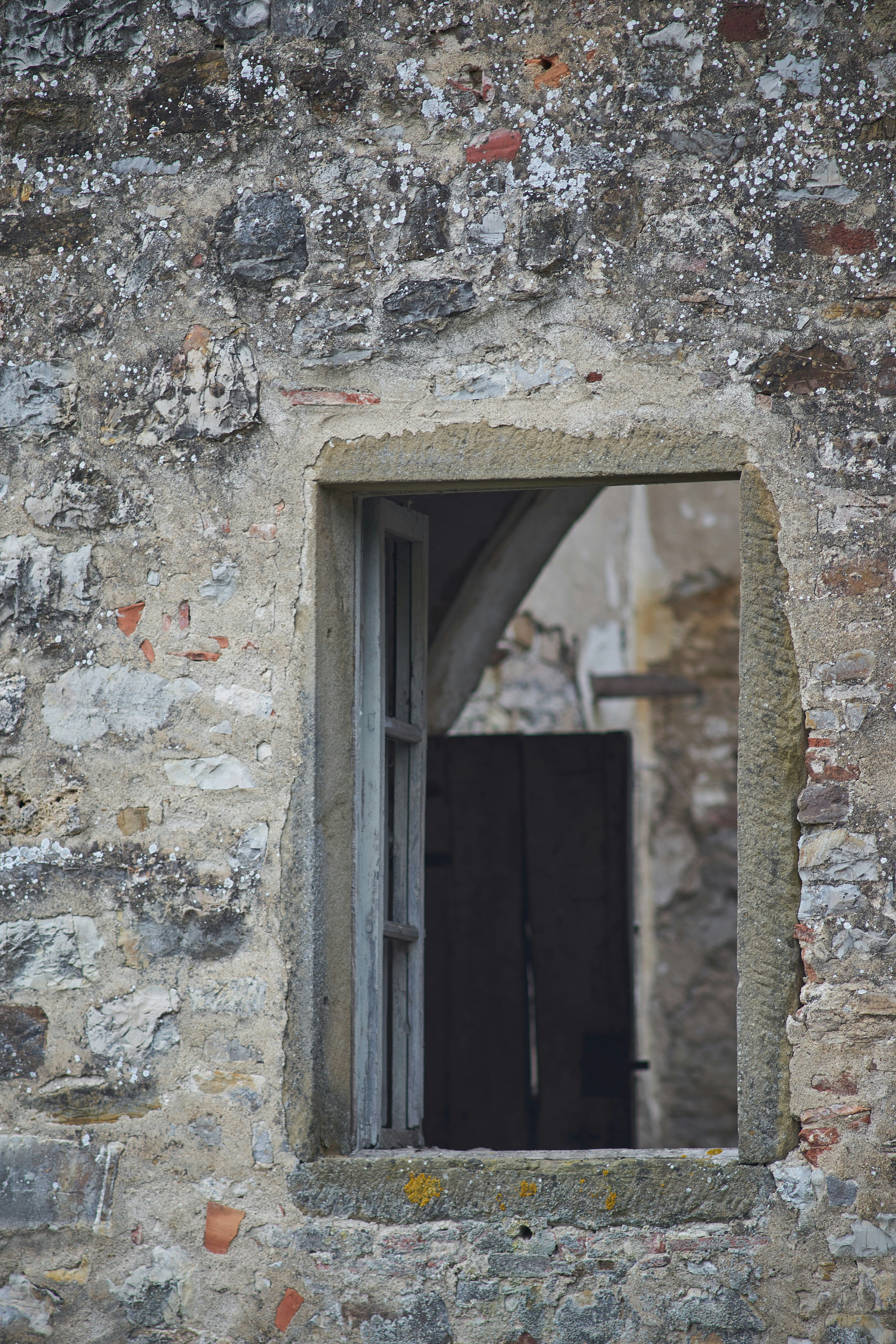 Photo by wolfgang_hasselmann