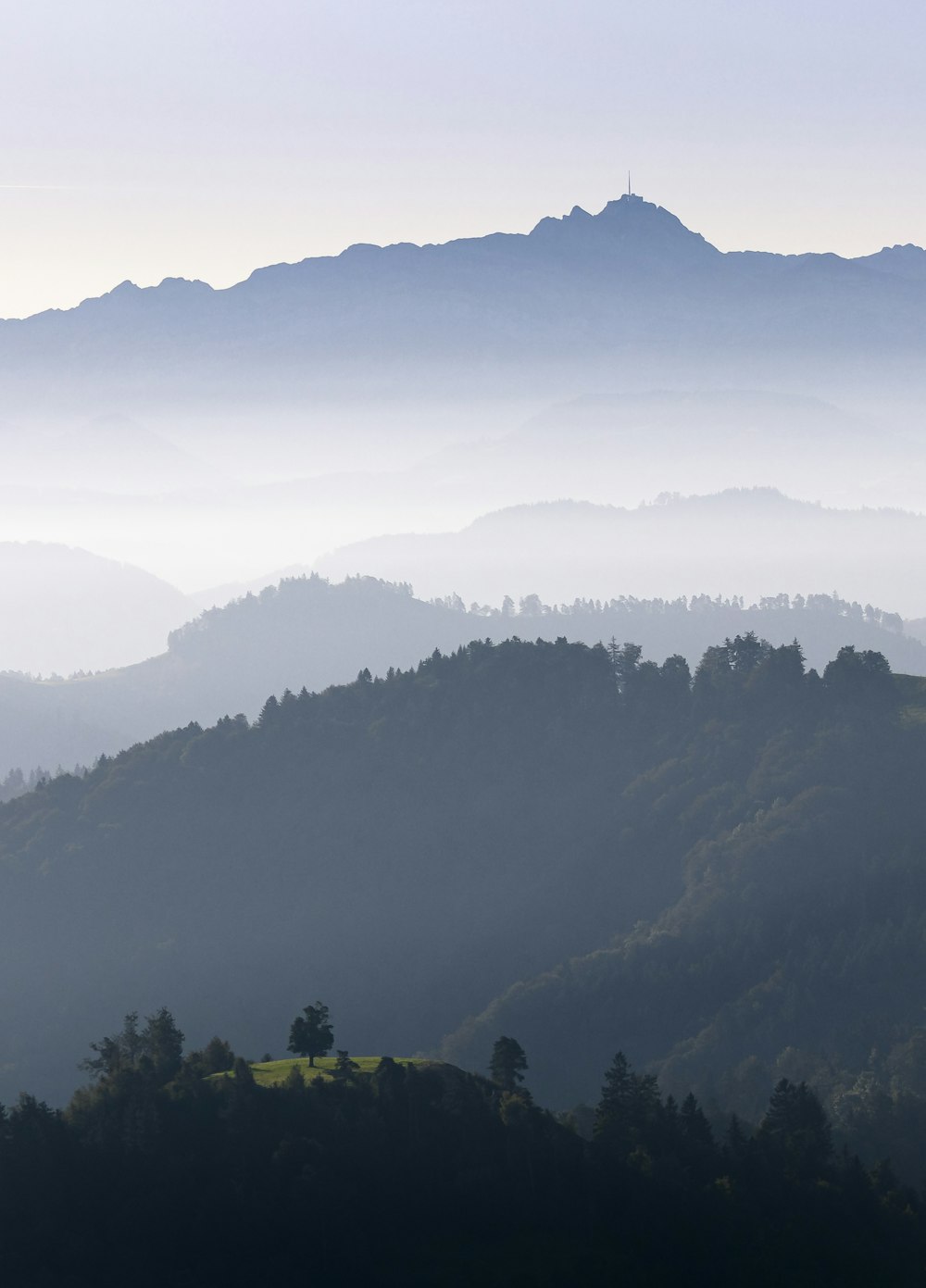 green trees on mountain during daytime