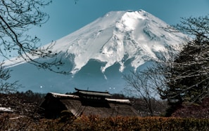 A snow-capped mountain dominates the background, surrounded by clear blue skies. In the foreground, traditional Japanese architecture peaks through the trees, with bare branches framing the scene. This blend of nature and culture evokes a serene and majestic atmosphere.