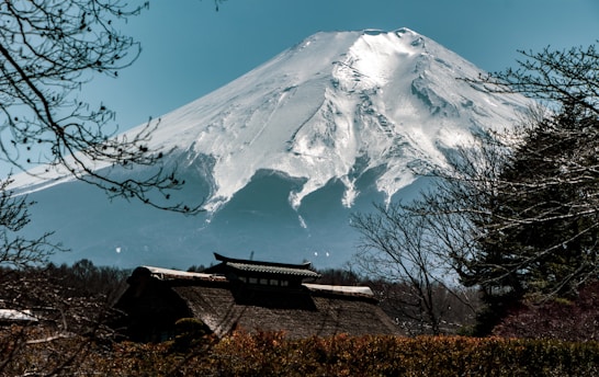 A snow-capped mountain dominates the background, surrounded by clear blue skies. In the foreground, traditional Japanese architecture peaks through the trees, with bare branches framing the scene. This blend of nature and culture evokes a serene and majestic atmosphere.
