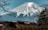 A snow-capped mountain dominates the background, surrounded by clear blue skies. In the foreground, traditional Japanese architecture peaks through the trees, with bare branches framing the scene. This blend of nature and culture evokes a serene and majestic atmosphere.
