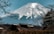 A snow-capped mountain dominates the background, surrounded by clear blue skies. In the foreground, traditional Japanese architecture peaks through the trees, with bare branches framing the scene. This blend of nature and culture evokes a serene and majestic atmosphere.