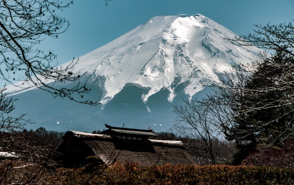 A snow-capped mountain dominates the background, surrounded by clear blue skies. In the foreground, traditional Japanese architecture peaks through the trees, with bare branches framing the scene. This blend of nature and culture evokes a serene and majestic atmosphere.