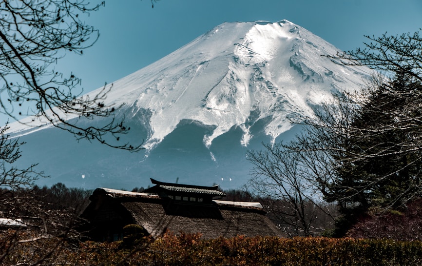 A snow-capped mountain dominates the background, surrounded by clear blue skies. In the foreground, traditional Japanese architecture peaks through the trees, with bare branches framing the scene. This blend of nature and culture evokes a serene and majestic atmosphere.
