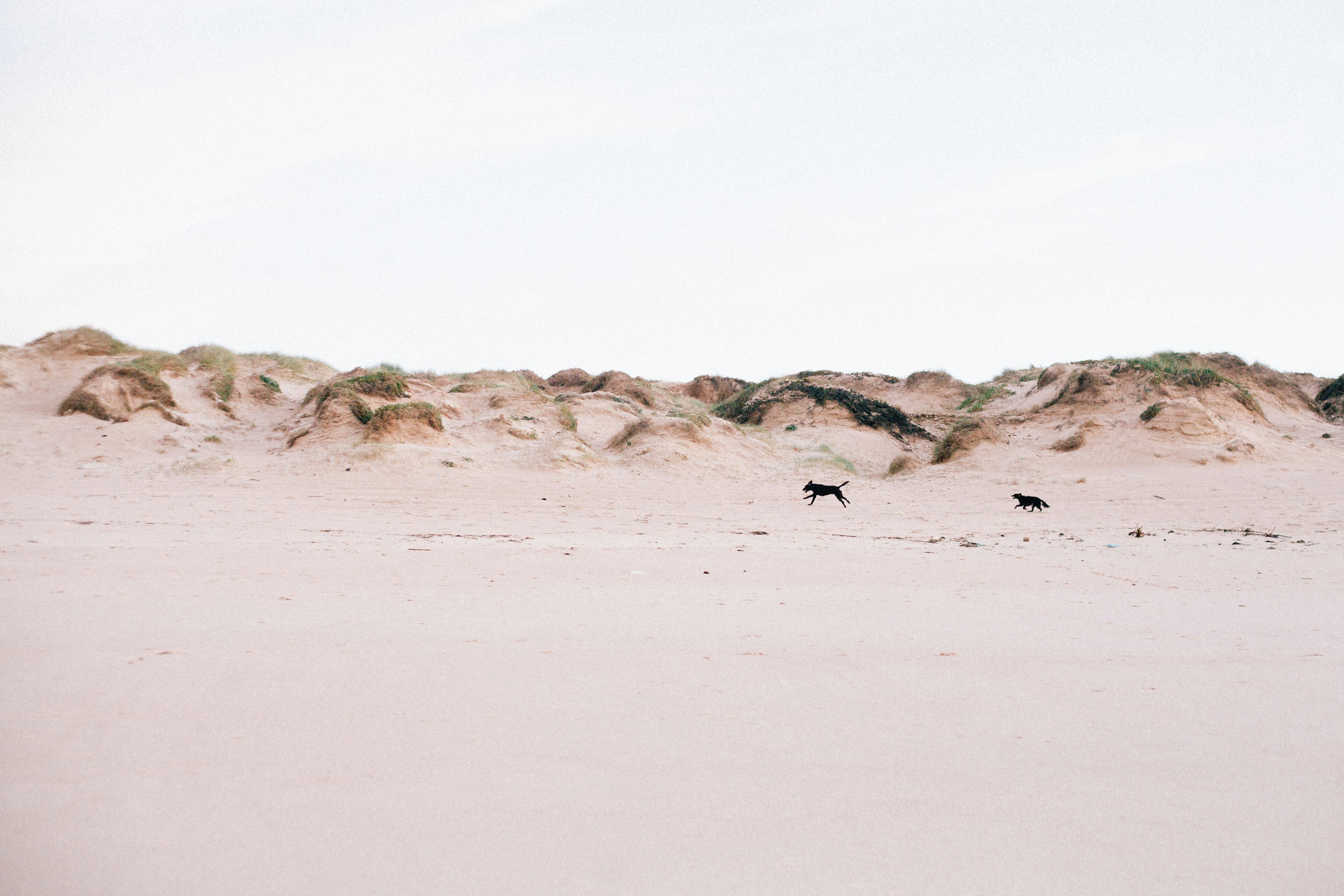 Photo by maryna_maliutina